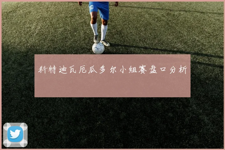 科特迪瓦厄瓜多尔小组赛盘口分析