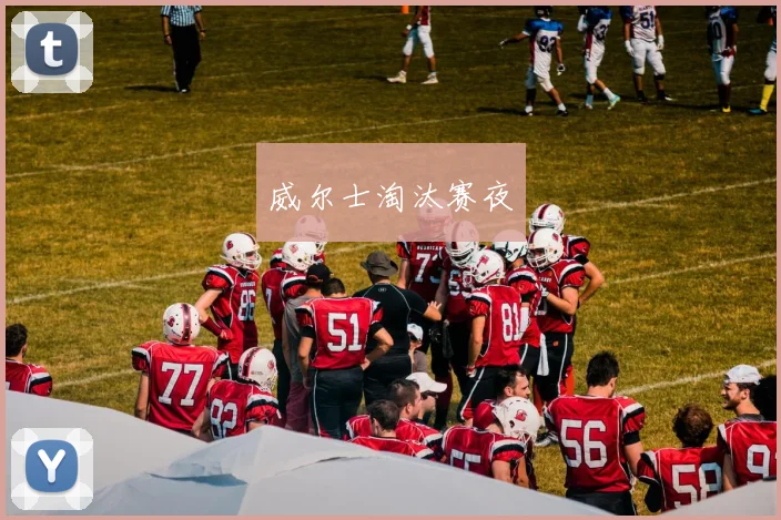 威尔士淘汰赛夜