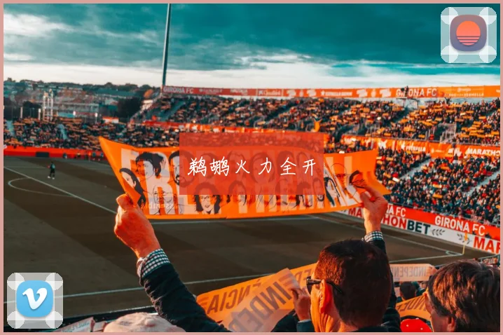 鹈鹕火力全开
