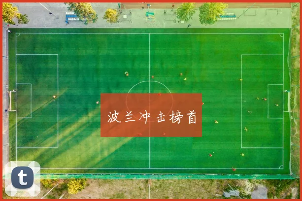 波兰冲击榜首
