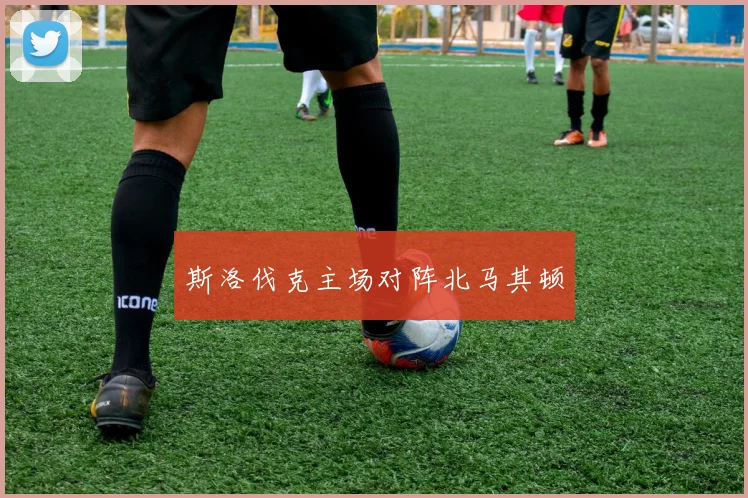 斯洛伐克主场对阵北马其顿