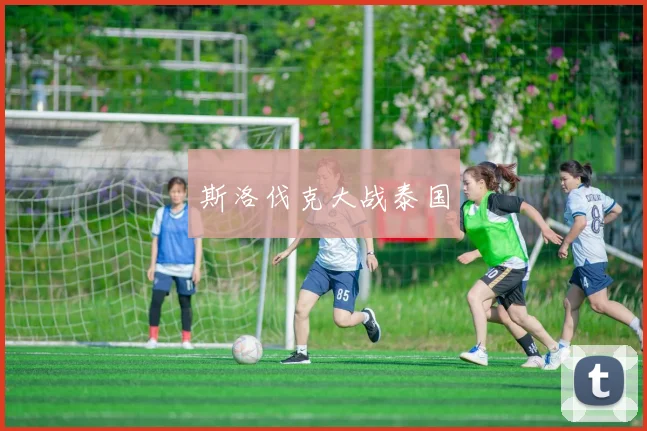 斯洛伐克大战泰国