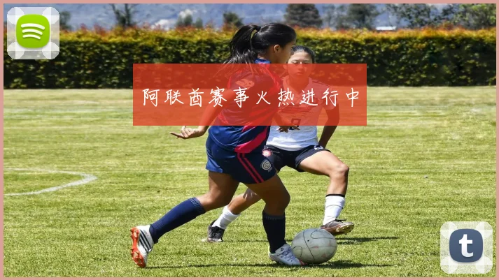阿联酋赛事火热进行中