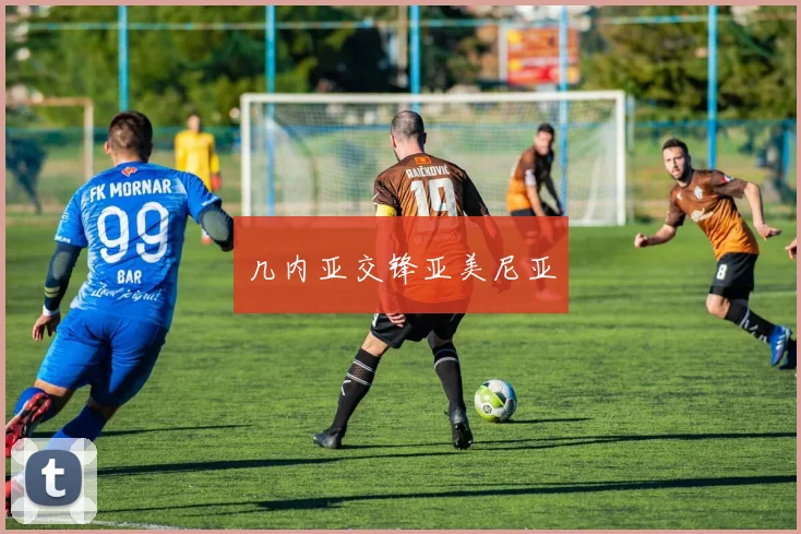 几内亚交锋亚美尼亚