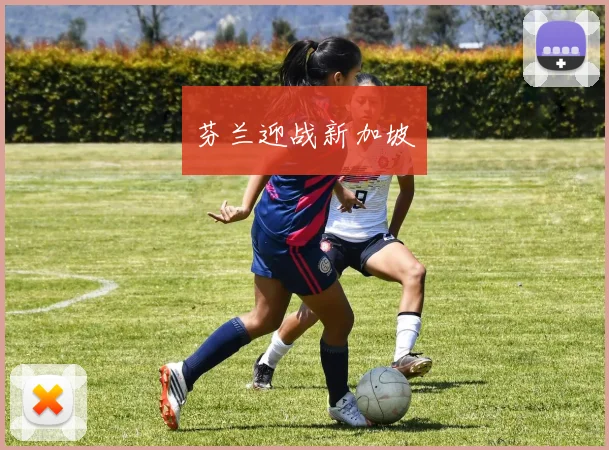 芬兰迎战新加坡