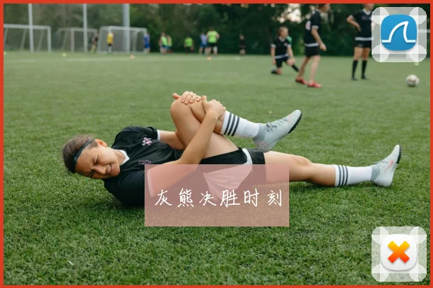 灰熊决胜时刻