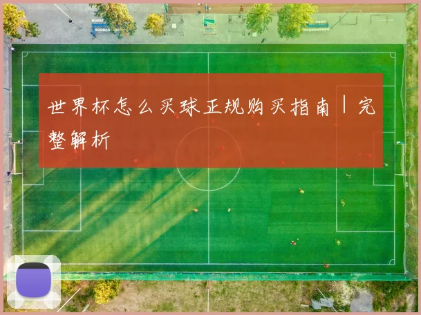 世界杯怎么买球正规购买指南｜完整解析
