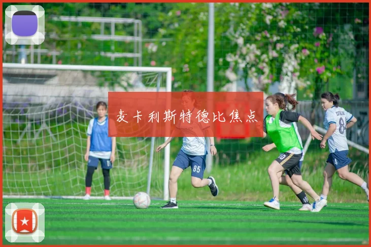 麦卡利斯特德比焦点
