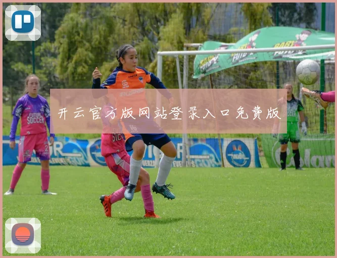 开云官方版网站登录入口免费版