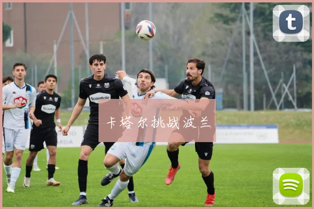 卡塔尔挑战波兰