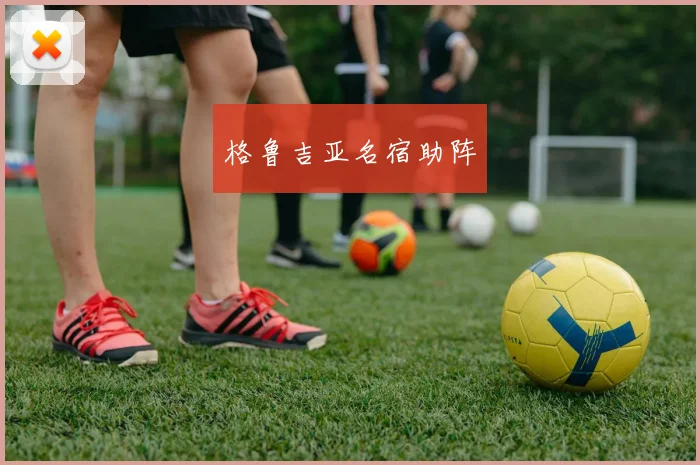 格鲁吉亚名宿助阵