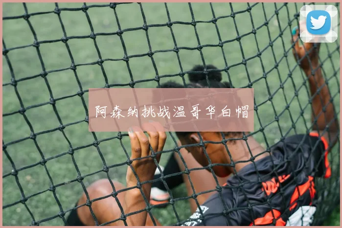 阿森纳挑战温哥华白帽