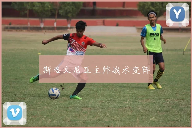 斯洛文尼亚主帅战术变阵