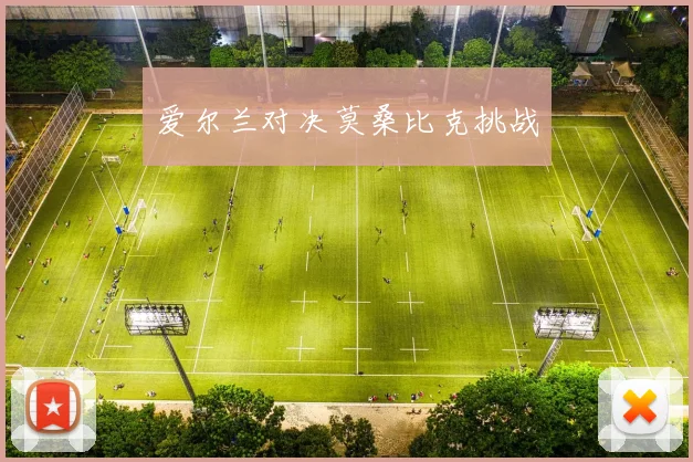 爱尔兰对决莫桑比克挑战