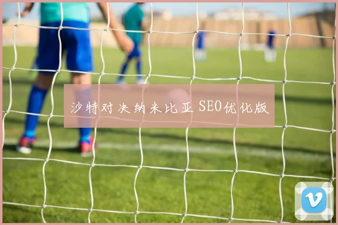 沙特对决纳米比亚 SEO优化版
