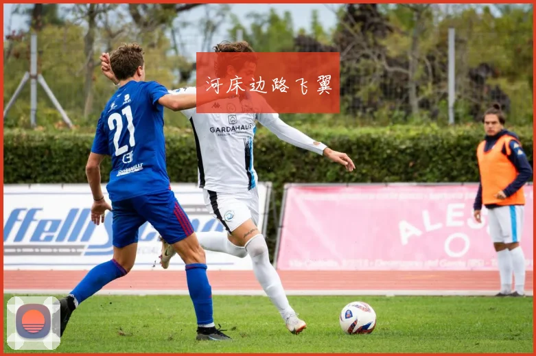河床边路飞翼
