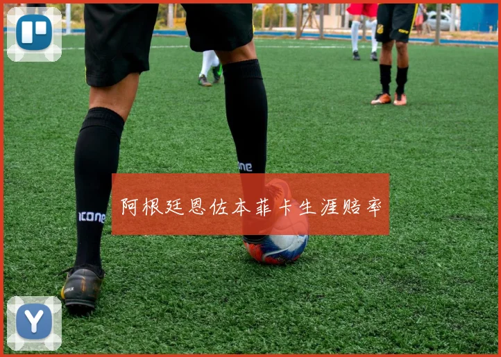 阿根廷恩佐本菲卡生涯赔率