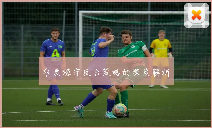 印度稳守反击策略的深度解析