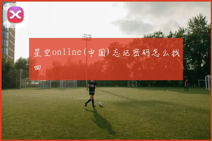 星空online(中国)忘记密码怎么找回