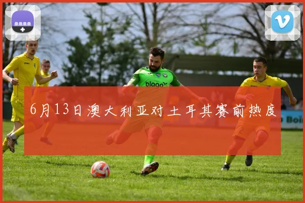 6月13日澳大利亚对土耳其赛前热度