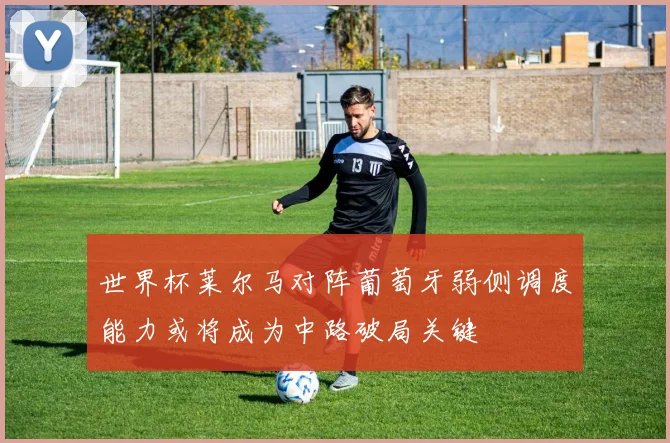 世界杯莱尔马对阵葡萄牙弱侧调度能力或将成为中路破局关键