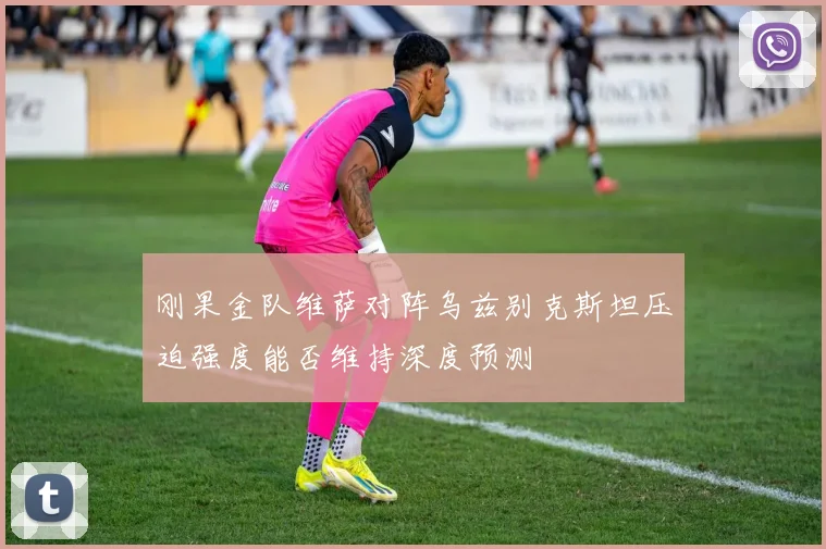 刚果金队维萨对阵乌兹别克斯坦压迫强度能否维持深度预测