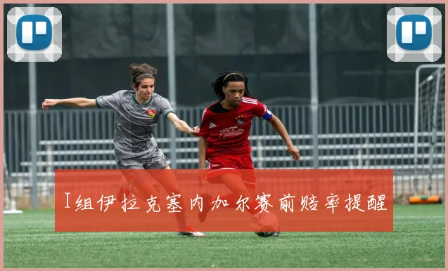 I组伊拉克塞内加尔赛前赔率提醒